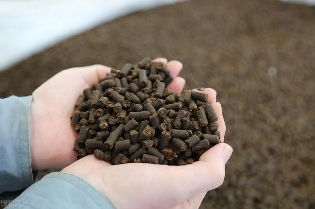 配置一套小型牛粪有机肥生产线需要多少钱？